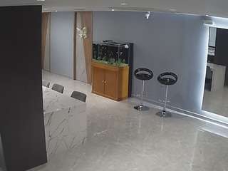 voyeurcam-casa-salsa-parlor