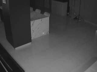 voyeurcam-casa-salsa-parlor