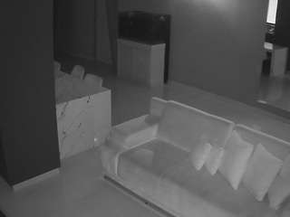 voyeurcam-casa-salsa-parlor