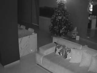 voyeurcam-casa-salsa-parlor