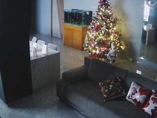 voyeurcam-casa-salsa-parlor