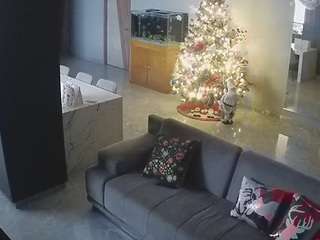 voyeurcam-casa-salsa-parlor