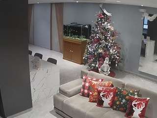 voyeurcam-casa-salsa-parlor