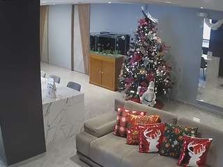 voyeurcam-casa-salsa-parlor