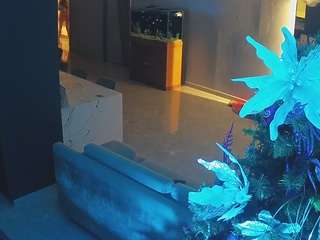 voyeurcam-casa-salsa-parlor