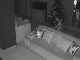 voyeurcam-casa-salsa-parlor