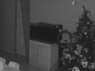 voyeurcam-casa-salsa-parlor