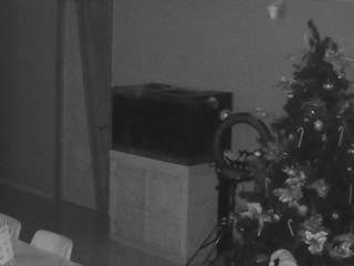 voyeurcam-casa-salsa-parlor