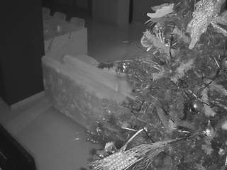 voyeurcam-casa-salsa-parlor webcam model