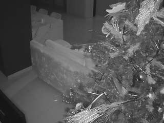 voyeurcam-casa-salsa-parlor webcam model