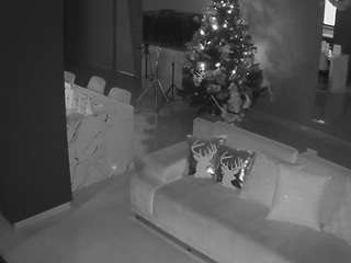 voyeurcam-casa-salsa-parlor