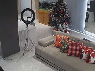 voyeurcam-casa-salsa-parlor