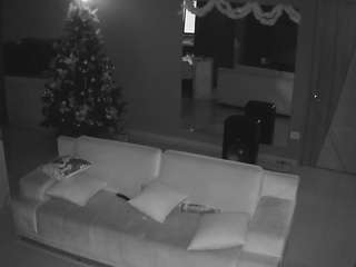 voyeurcam-casa-salsa-parlor