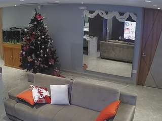 voyeurcam-casa-salsa-parlor