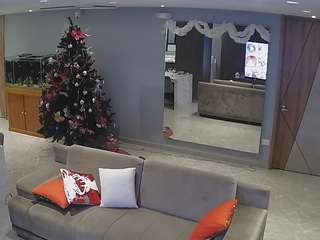 voyeurcam-casa-salsa-parlor