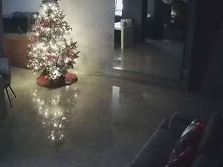 voyeurcam-casa-salsa-parlor