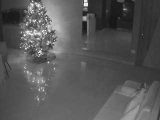 voyeurcam-casa-salsa-parlor