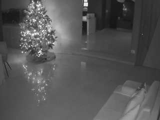 voyeurcam-casa-salsa-parlor