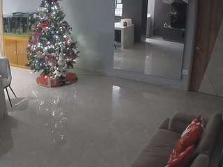 voyeurcam-casa-salsa-parlor