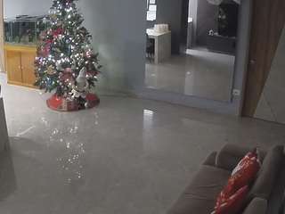 voyeurcam-casa-salsa-parlor