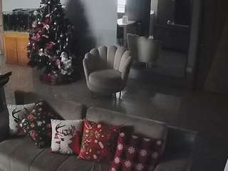 voyeurcam-casa-salsa-parlor