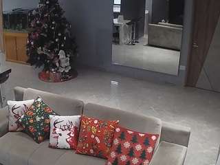 voyeurcam-casa-salsa-parlor