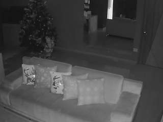 voyeurcam-casa-salsa-parlor