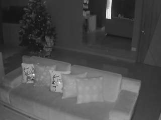 voyeurcam-casa-salsa-parlor