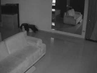 voyeurcam-casa-salsa-parlor