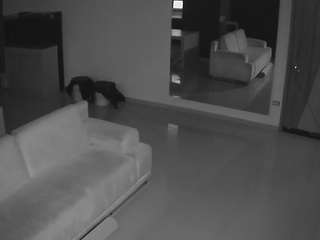 voyeurcam-casa-salsa-parlor - Live HD Webcam