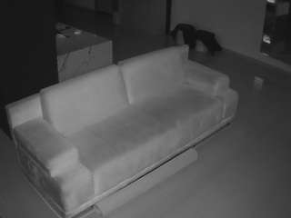 voyeurcam-casa-salsa-parlor