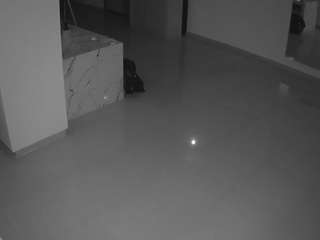 voyeurcam-casa-salsa-parlor