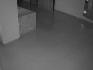 voyeurcam-casa-salsa-parlor