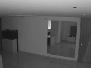 voyeurcam-casa-salsa-parlor