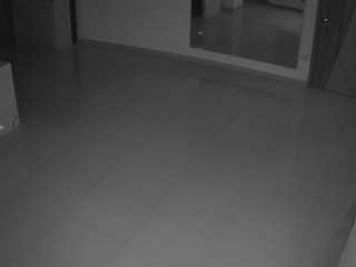 voyeurcam-casa-salsa-parlor