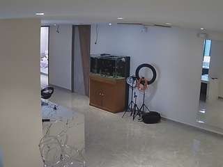 voyeurcam-casa-salsa-parlor