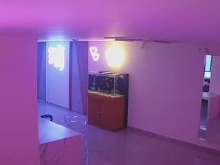 voyeurcam-casa-salsa-parlor