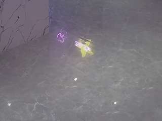 voyeurcam-casa-salsa-parlor