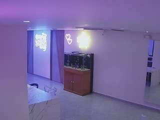 voyeurcam-casa-salsa-parlor