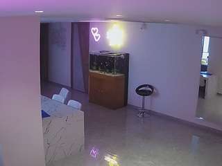 voyeurcam-casa-salsa-parlor