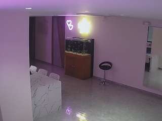 voyeurcam-casa-salsa-parlor