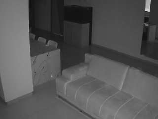 voyeurcam-casa-salsa-parlor Live Webcam on CamSoda