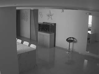 voyeurcam-casa-salsa-parlor webcam