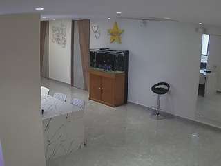 voyeurcam-casa-salsa-parlor webcam