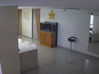 voyeurcam-casa-salsa-parlor webcam