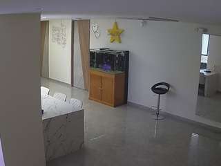 voyeurcam-casa-salsa-parlor webcam