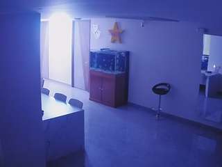 voyeurcam-casa-salsa-parlor webcam