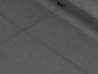 voyeurcam-casa-salsa-parlor webcam