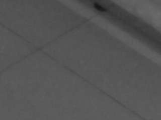 voyeurcam-casa-salsa-parlor webcam