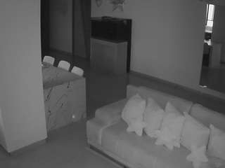 voyeurcam-casa-salsa-parlor